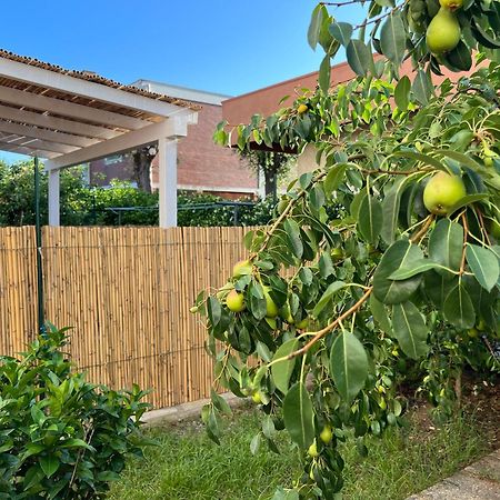 Appartement Civiconove à Piombino Extérieur photo