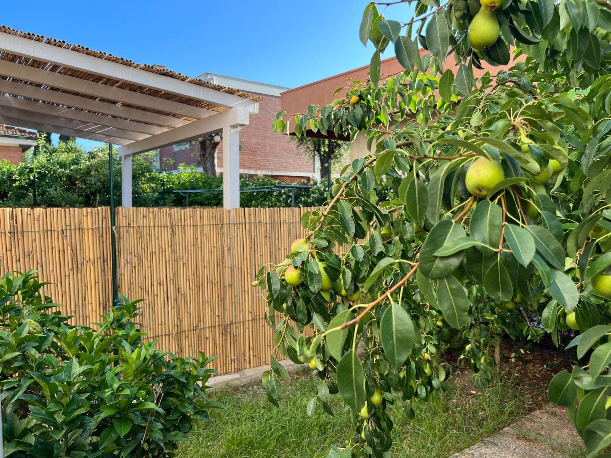 Appartement Civiconove à Piombino Extérieur photo